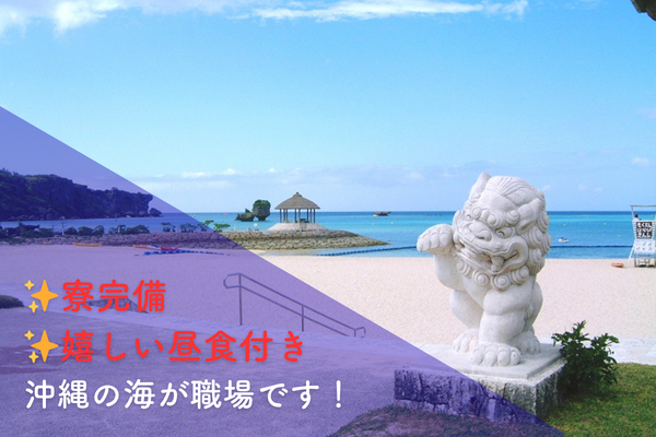 【未経験OK】マリンスタッフ & インストラクターの求人 / ナビー（沖縄県国頭郡）
